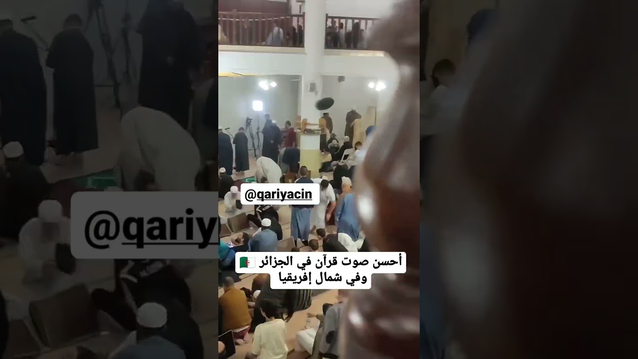 تلاوة رائعة وتقليد لخليل الحصري من القارئ ياسين الجزائري مسجد عبد اللطيف سلطاني القبة (رمضان)