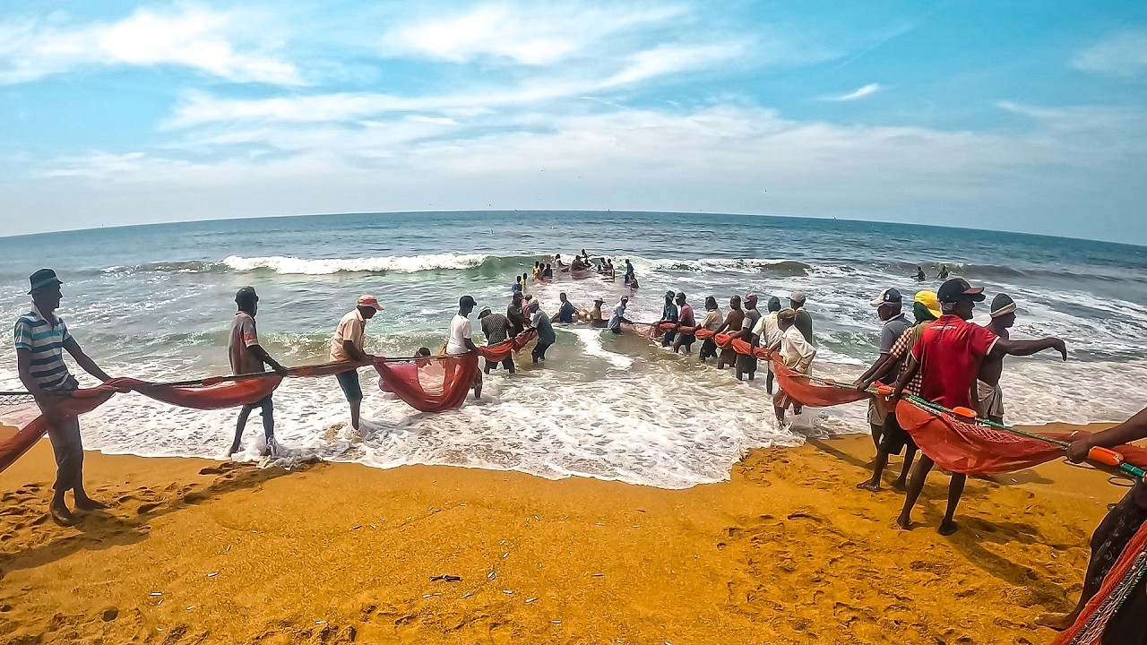 UNSTOPPABLE! Hardworking Fishermen Incredible Battle with a Massive Seine Net