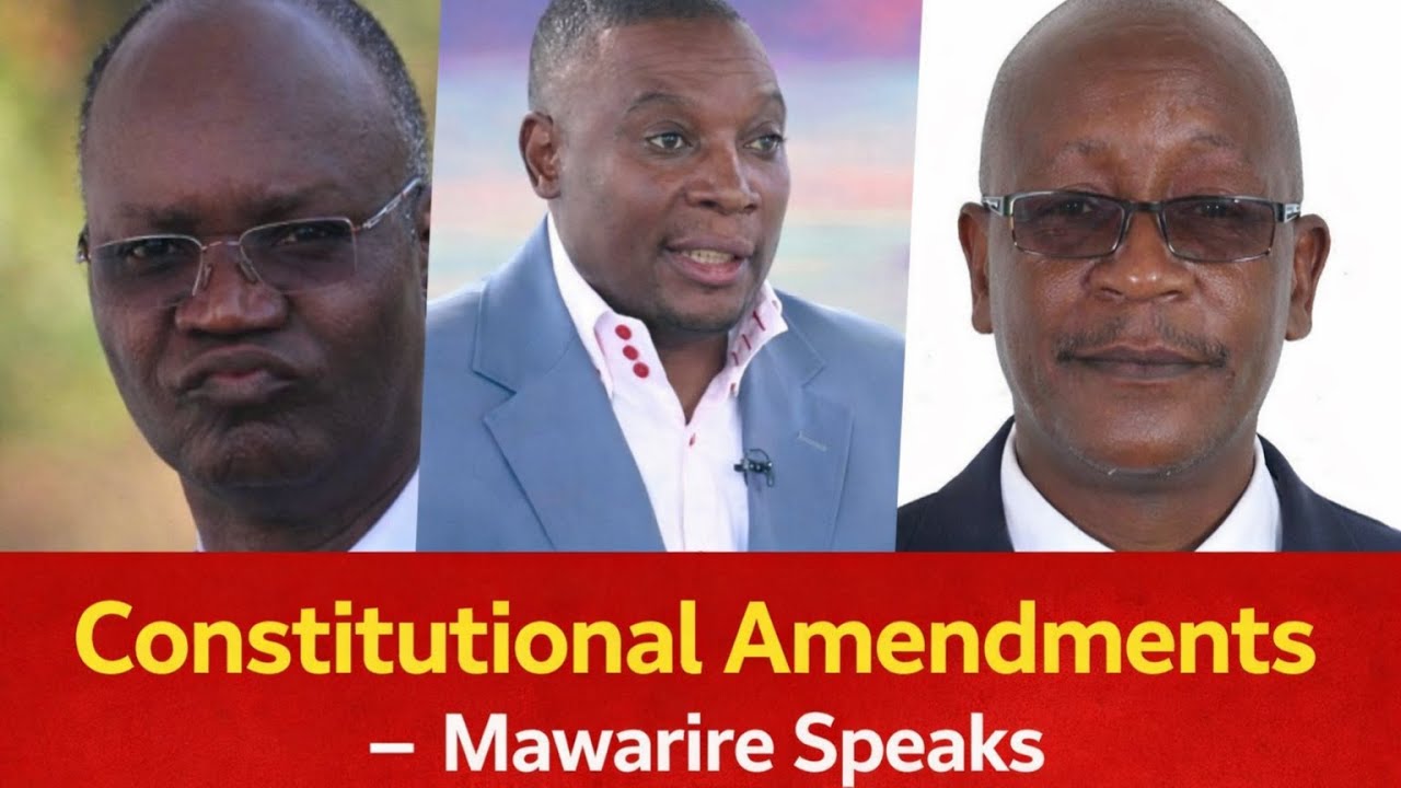 Ziyambi Under Fire as Mawarire Challenges Diaspora Vote Push