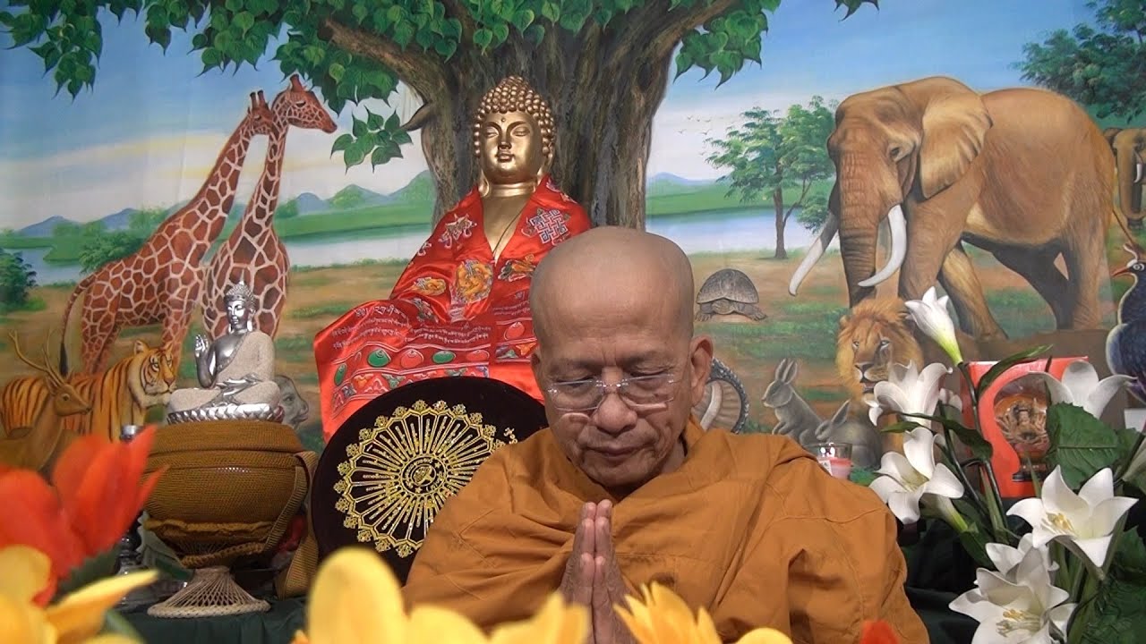 Chánh Niệm Cũng Luân Hồi