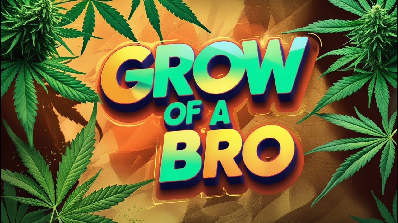 Grow of a Bro  - Episode 1