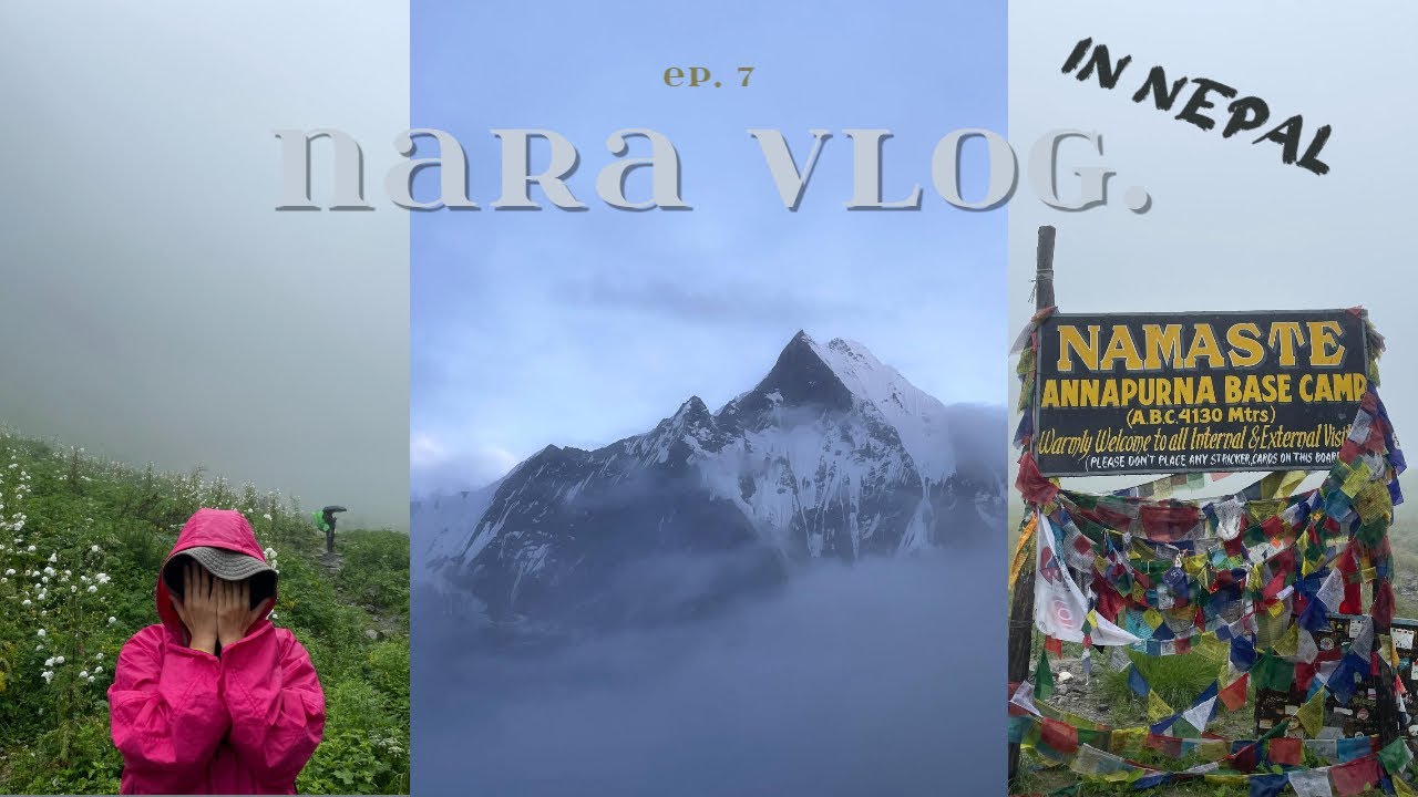| NEPAL #7 | 히말라야 안나푸르나 정복기 🏔️, 우기 트래킹은 거머리와 벌레 지옥