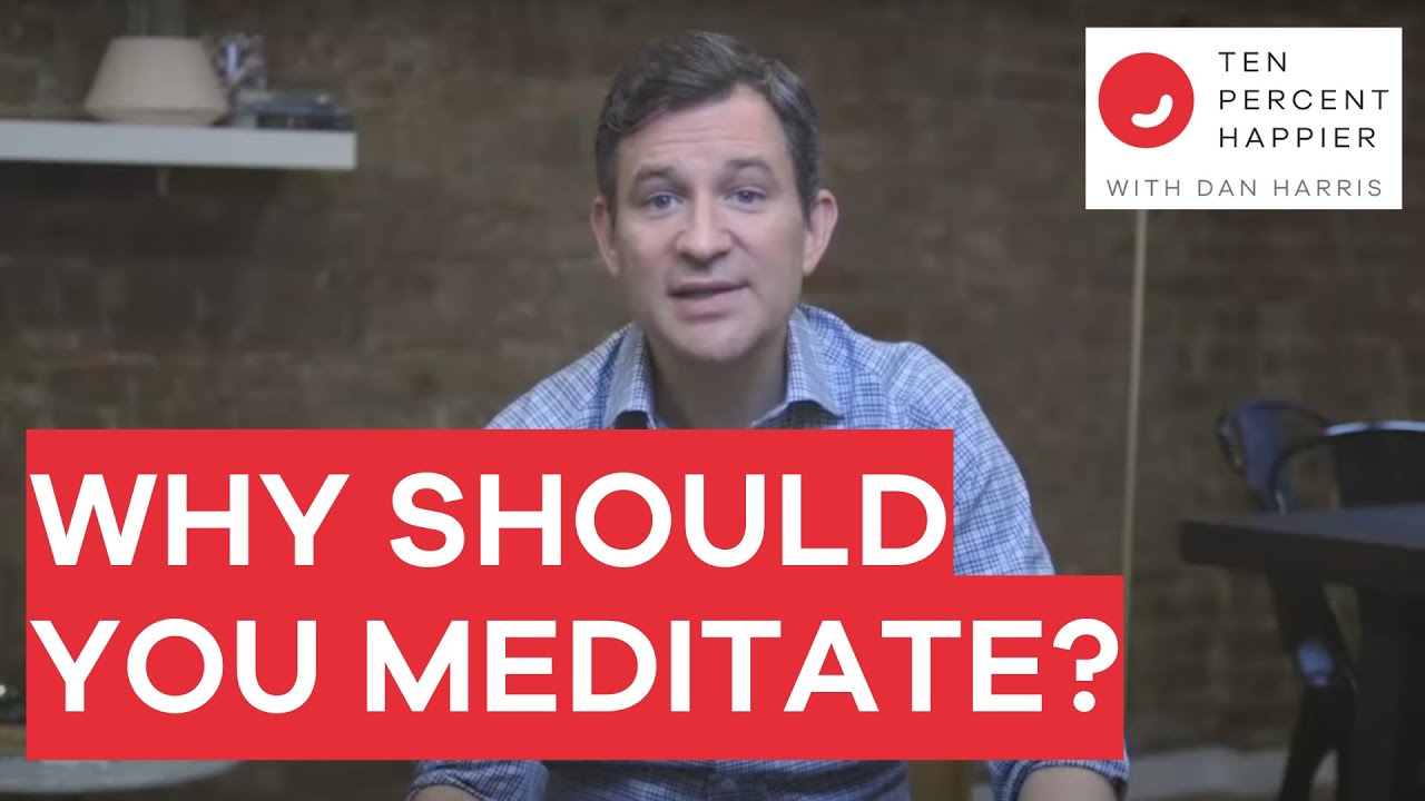 Why Meditate? Dan Harris Explains Why Everyone Should Try Meditation & Mindfulness for Mental Health