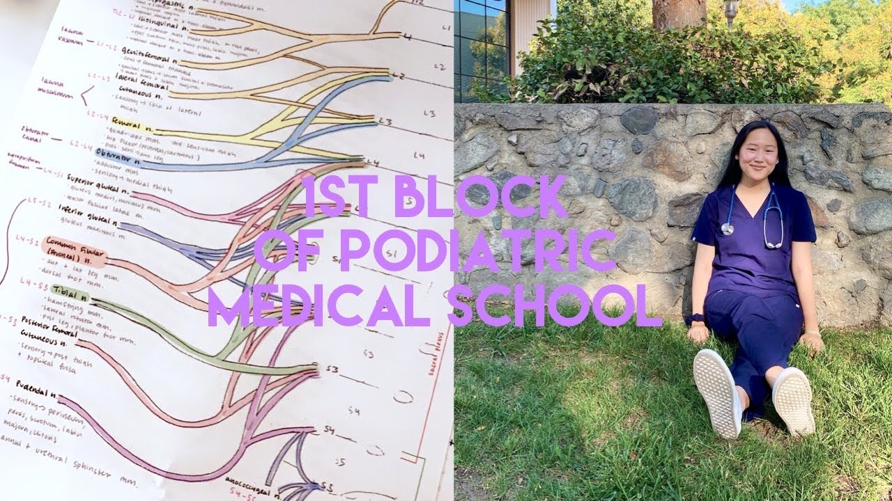 1ST Block of Podiatric Medical School Vlog || WesternU