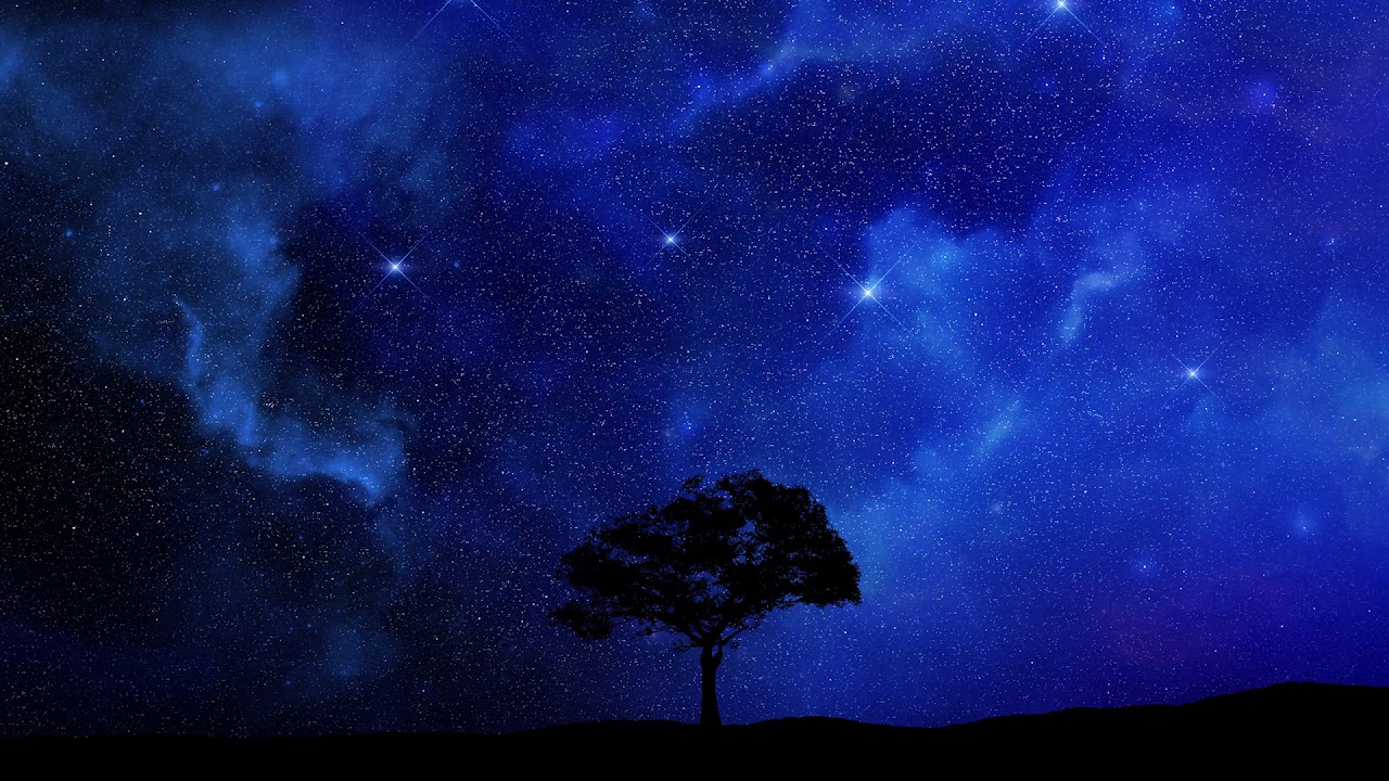 The Yanuka  - Melody of Contemplation