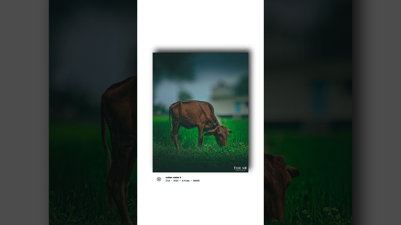 Day-56 of exposing my photography  #photographychallenge #mobilephotography  #realme8series