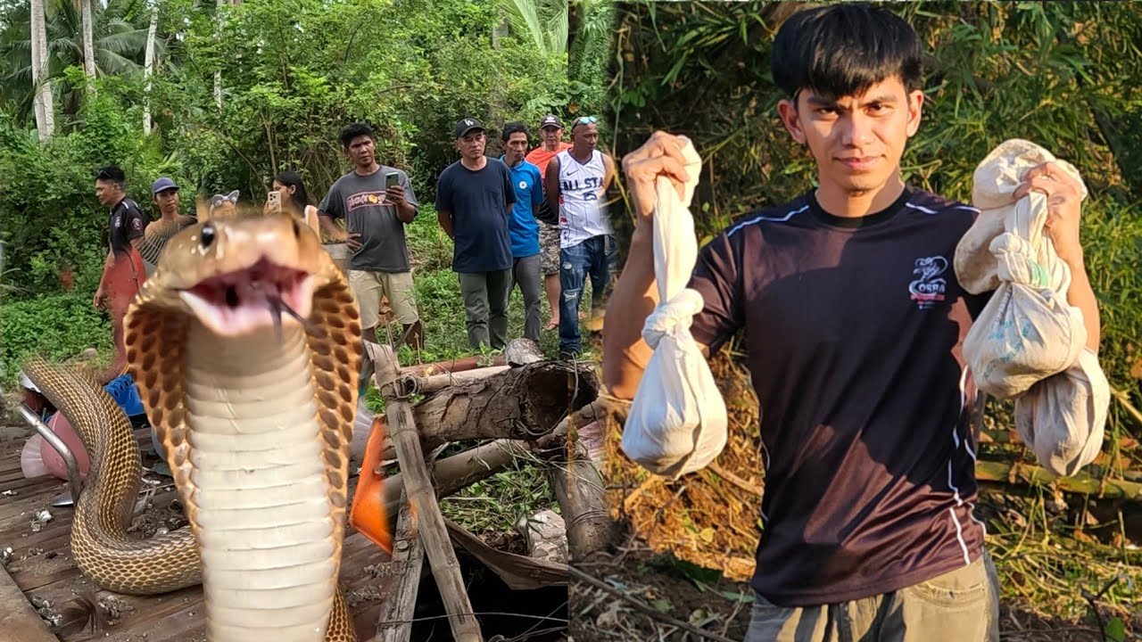 TATLO NA ANG NAT*KLAW SA CAVITE  KINAILANGAN NA SI COBRA PRINCE