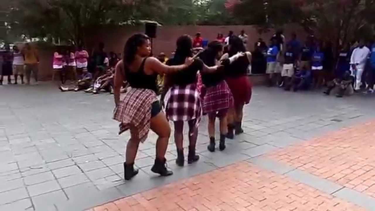 Iota Chi Delta Sigma Theta Meet the Greeks USC 2014