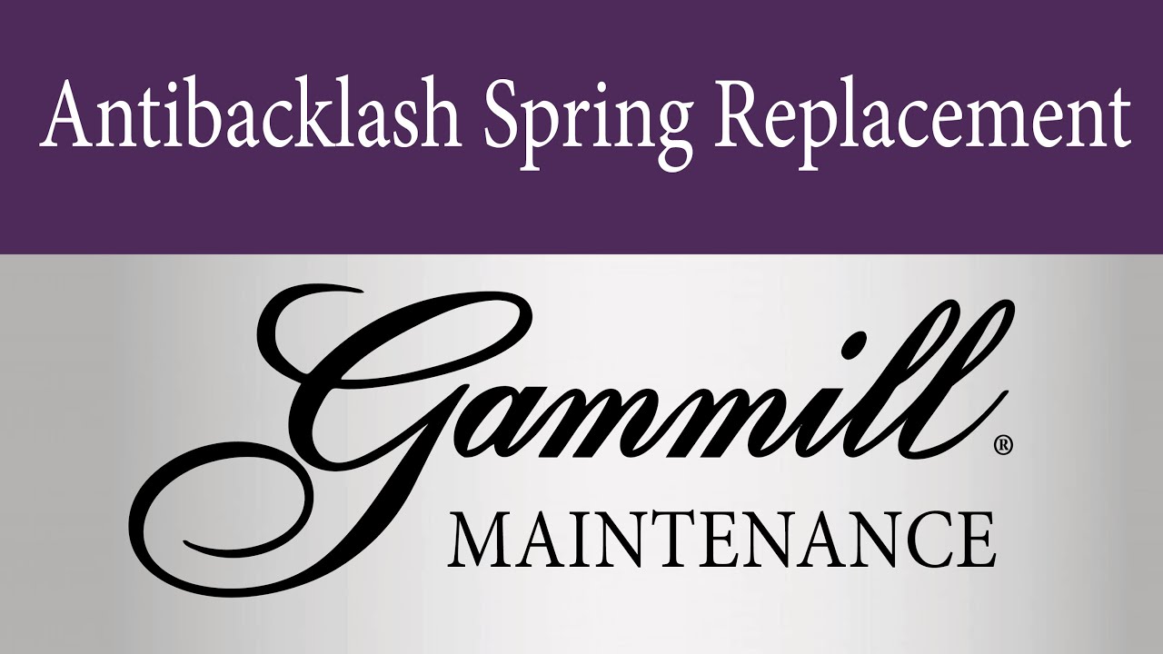 Antibacklash Spring Replacement