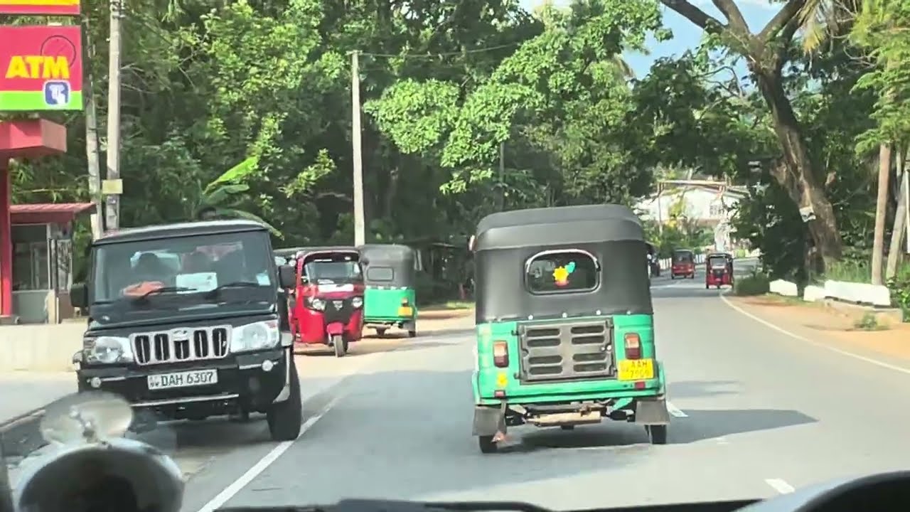 A Drive through coconut trees, paddy fields, and gorgeous mountains in south Asia