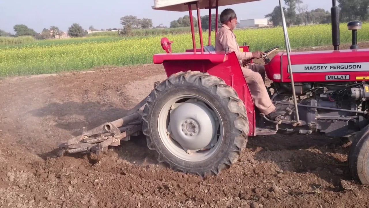 Massey Ferguson 240 Tilling The Field  |  Growing Barely  |  SOWING SEEDS MANUALLY