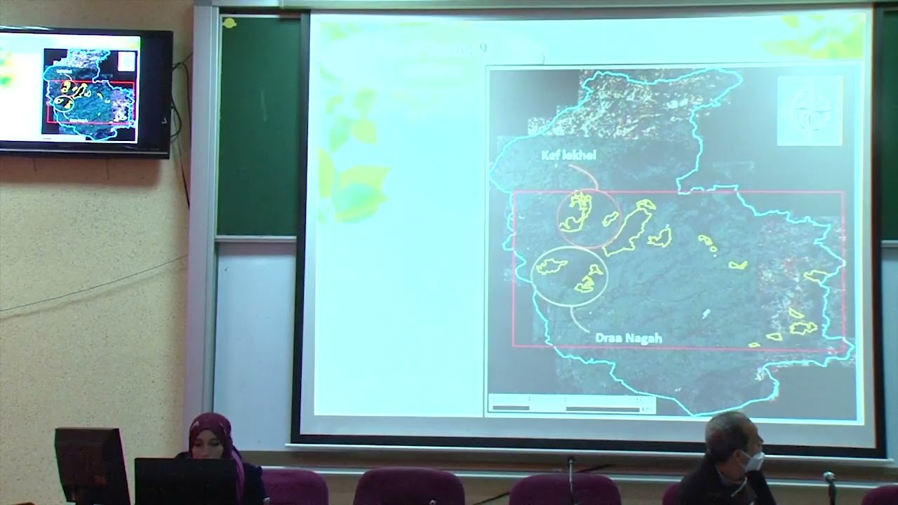 Valorisation, amelioration et sylviculture de pin pignon par degradation anaérobie Benkouachi Nour
