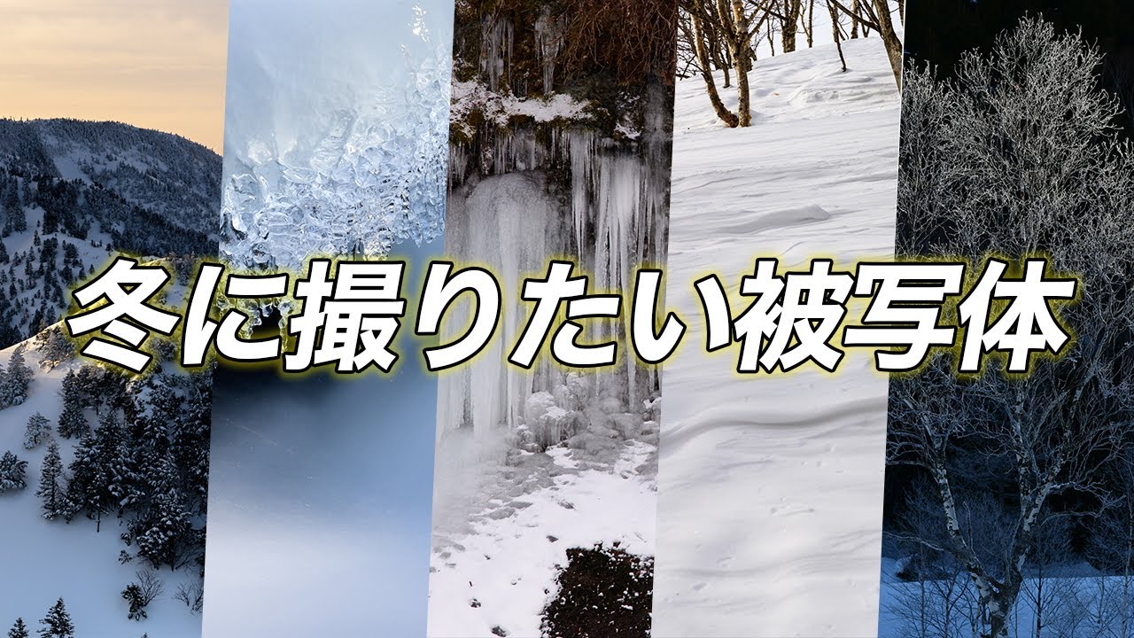 【自然写真】この冬撮りたい被写体５選｜総集編
