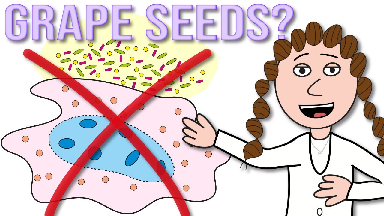 Grape seed extract - new senolytic extends lifespan?