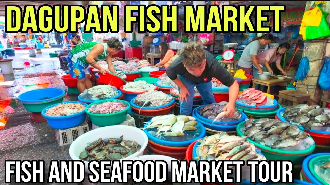 DAGUPAN FISH MARKET | Market Scenes in the Biggest Seafood Market in Pangasinan
