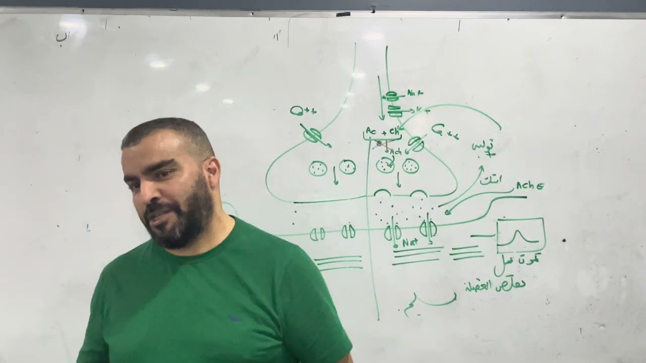 اقوى تمرين اتصال عصبي مراجعة نهائية بكالوريا علوم الطبيعة رالحية