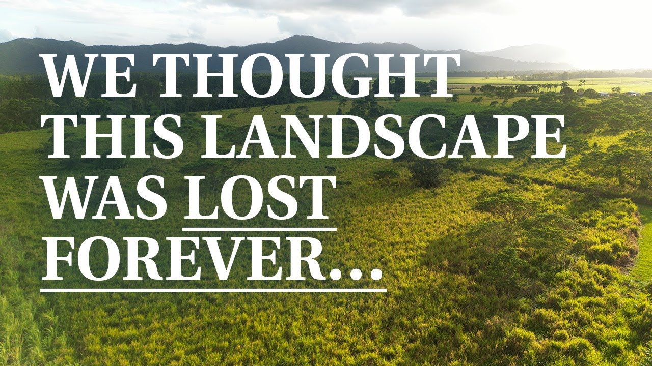Replanting a Rainforest one seedling at a time | 🌱 Help us restore this abandoned farm to Nature 💚