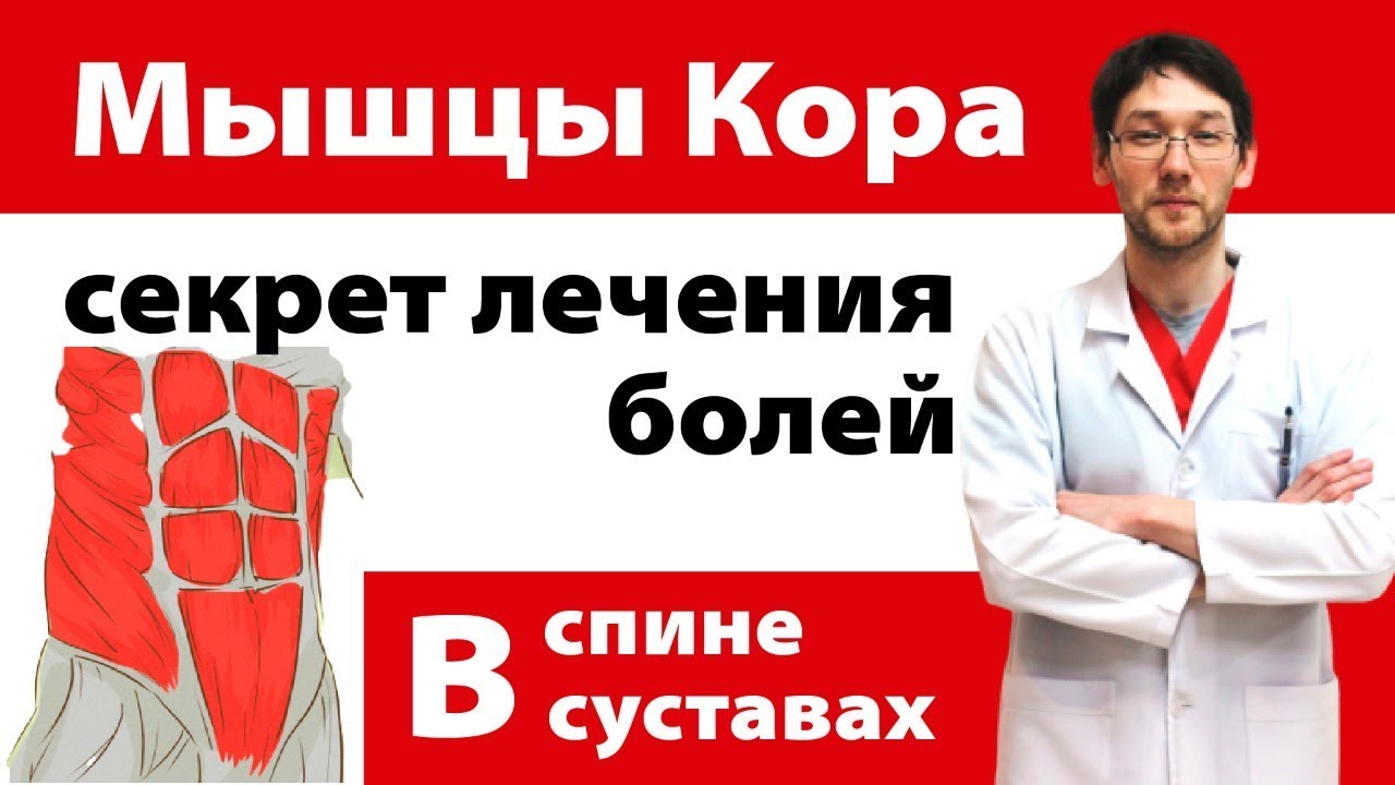 Как активировать мышцы 