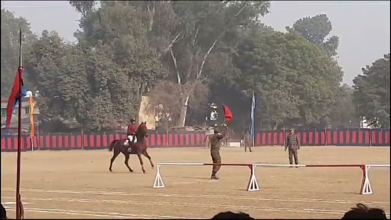 Horse Show By Remount & Veterinary Units Of NCC As Part Of NCC Republic Day Camp 2024@Cariappa Marg