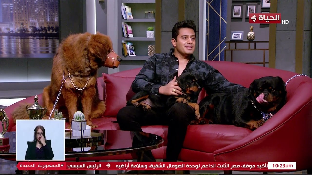 كيف وصل فيديو باسم لـ 169 مليون مشاهدة؟ حكاية النجاح المذهل وتفاصيلها