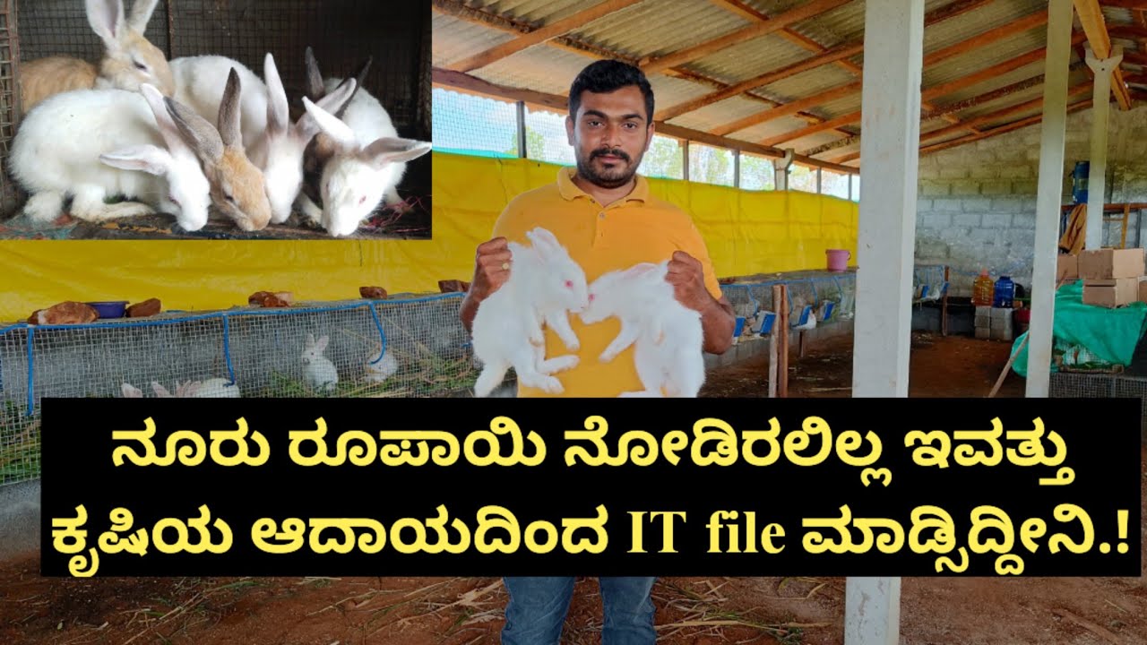 ನೂರು ರೂಪಾಯಿ ನೋಡಿರಲಿಲ್ಲ ಇವತ್ತು ಕೃಷಿಯ ಆದಾಯದಿಂದ IT file ಮಾಡ್ಸಿದ್ದೀನಿ.!