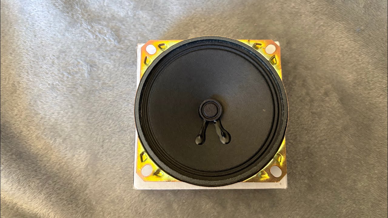 Workman SA-400 4 inch speaker driver unboxing 