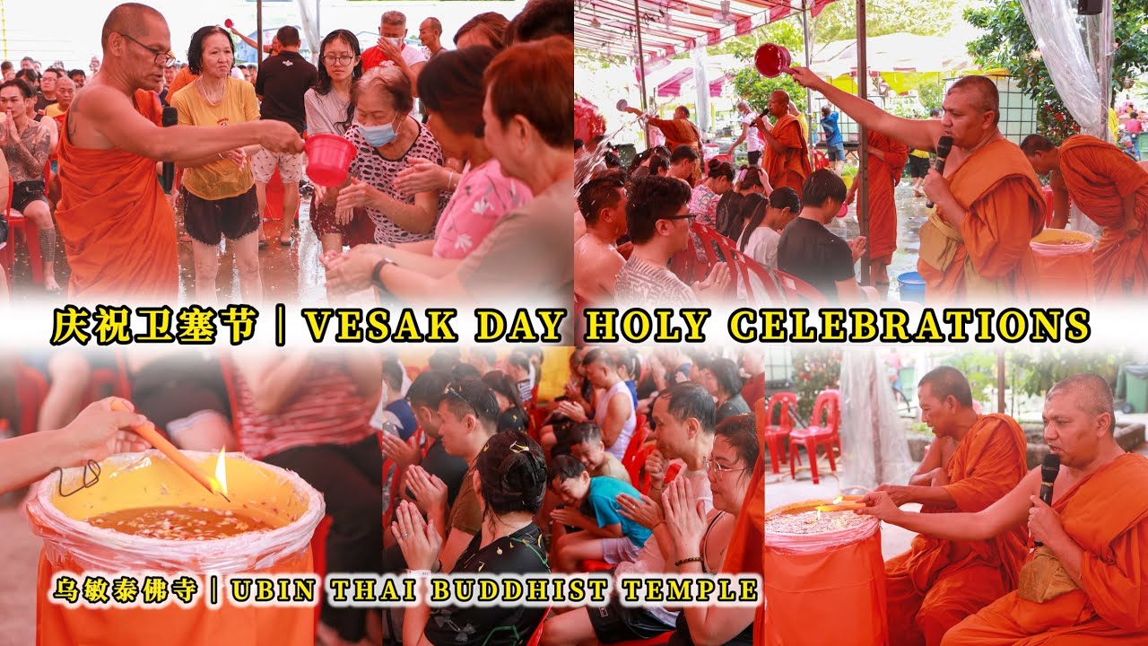 乌敏泰佛寺｜Ubin Thai Buddhist Temple : 庆祝卫塞节｜Vesak Day Holy Celebrations ( Holy flower shower )