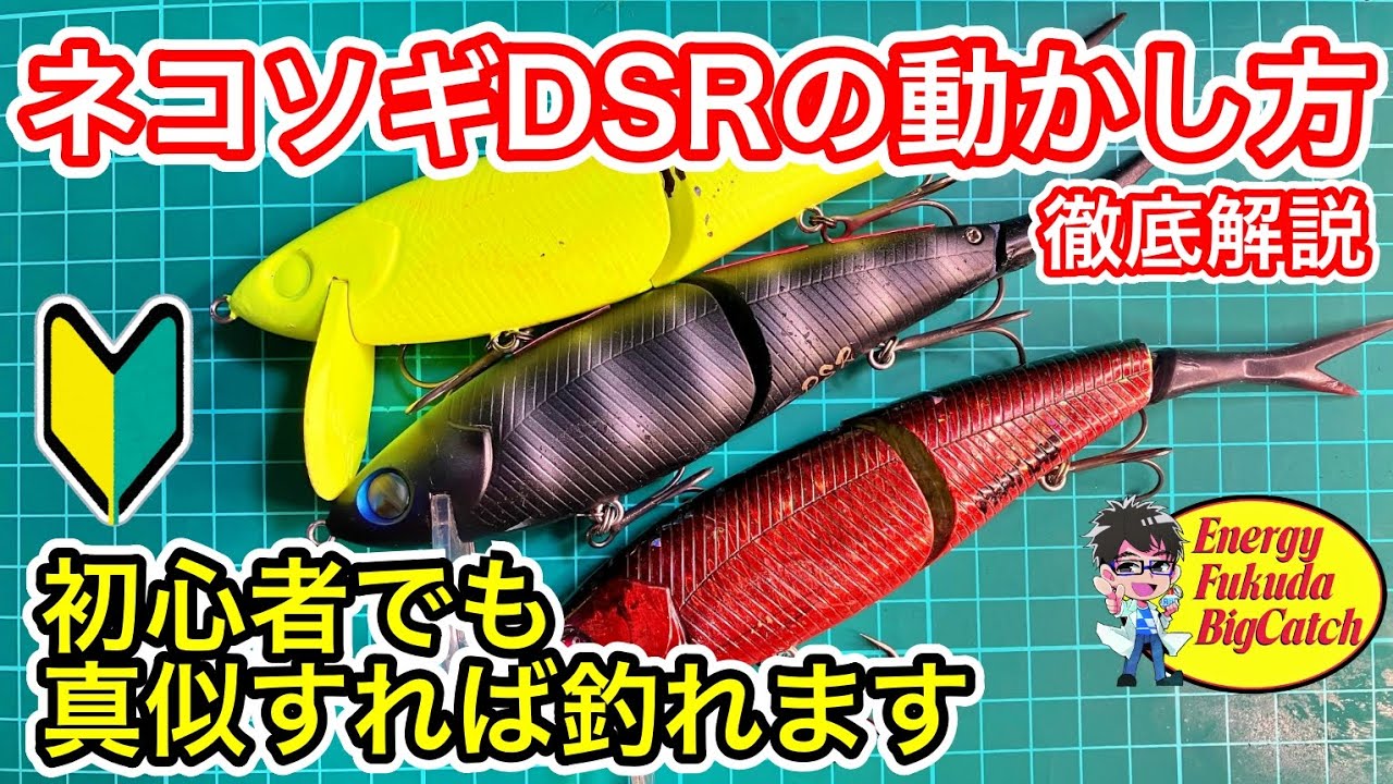 デカバスが釣れるネコソギDSRの使い方を詳しく解説。琵琶湖の冬の定番のデッドスローのバス釣り。#nekosogiプレイ