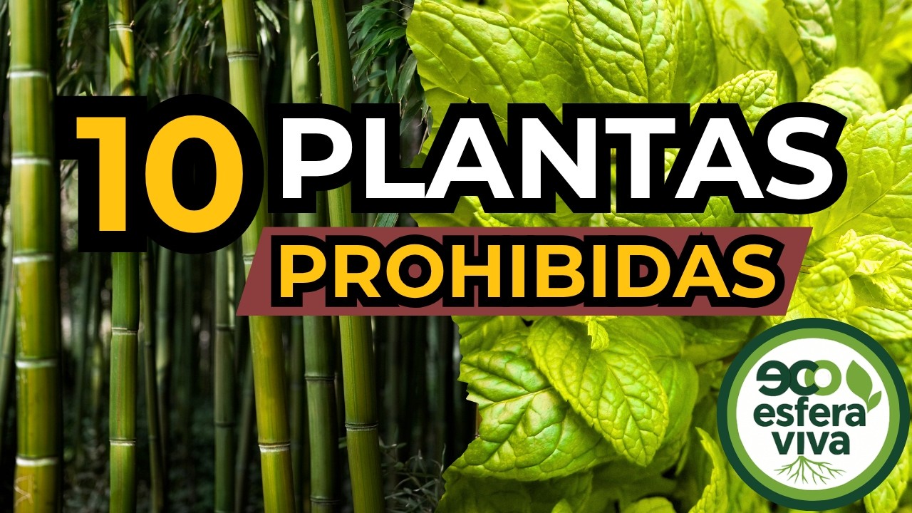 10 Plantas que NO deberías plantar en tu huerto (sin saber esto)