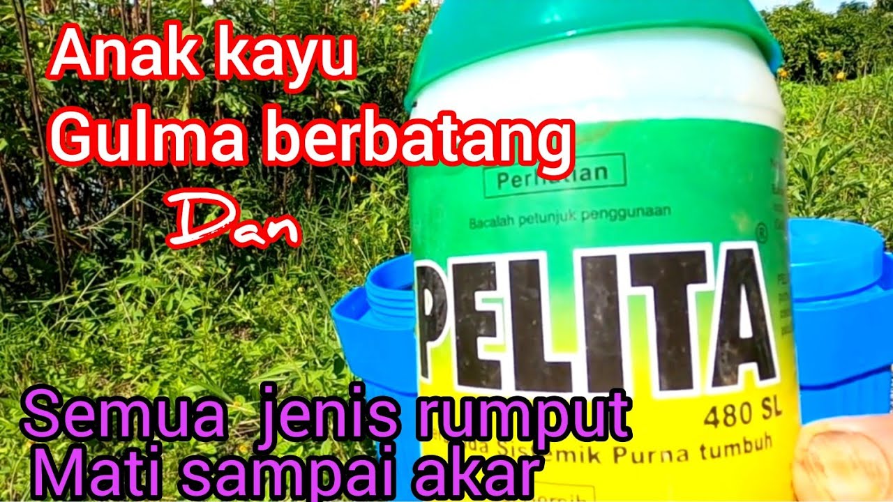 herbisida terbaik pembasmi anakan kayu,gulma berbatang dan semua jenis rumput..mati sampai ke akar