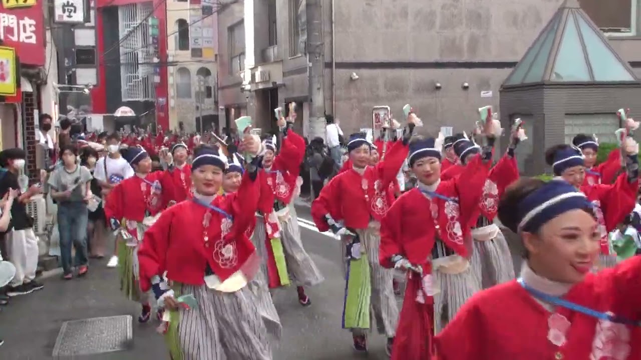 ほにや　柳町②　よさこい特別演舞2022　踊子＆観客