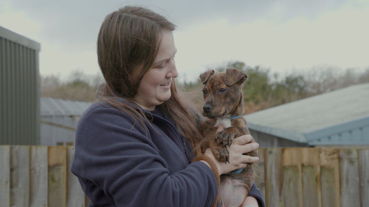AJ & Curtis Shine a Spotlight on RSPCA Llys Nini