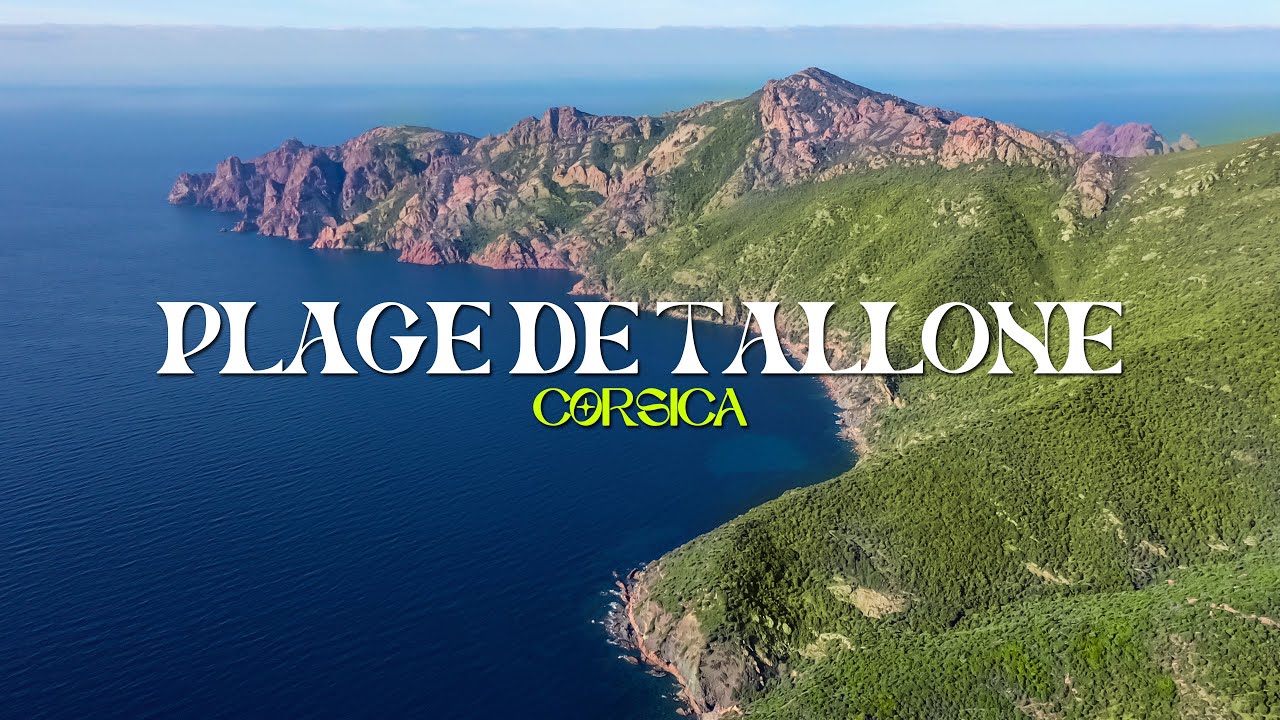 Stunning 4K Wildlife & Aerial Drone Footage | Plage de Tallone, Corsica, France