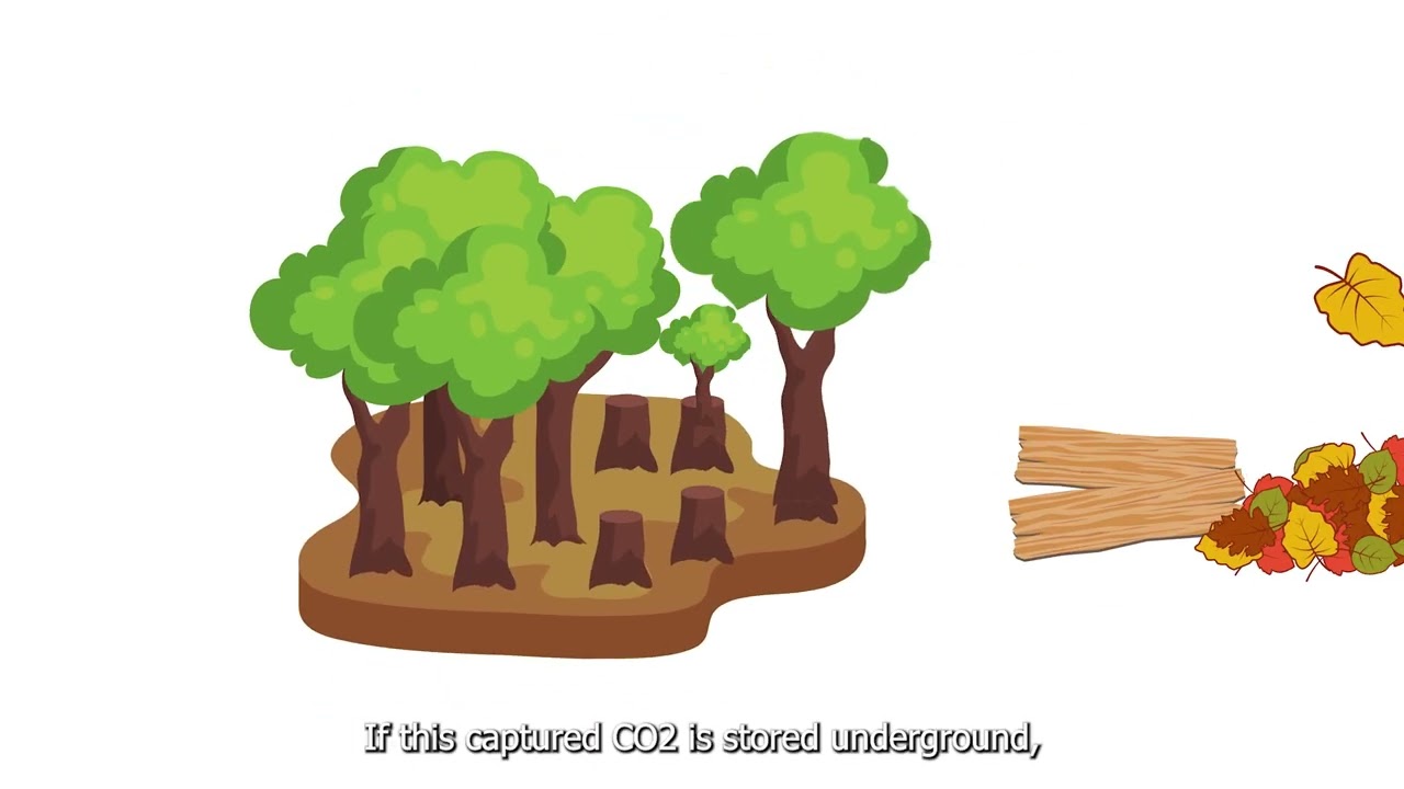 CCUS: what is it, how does it work and 