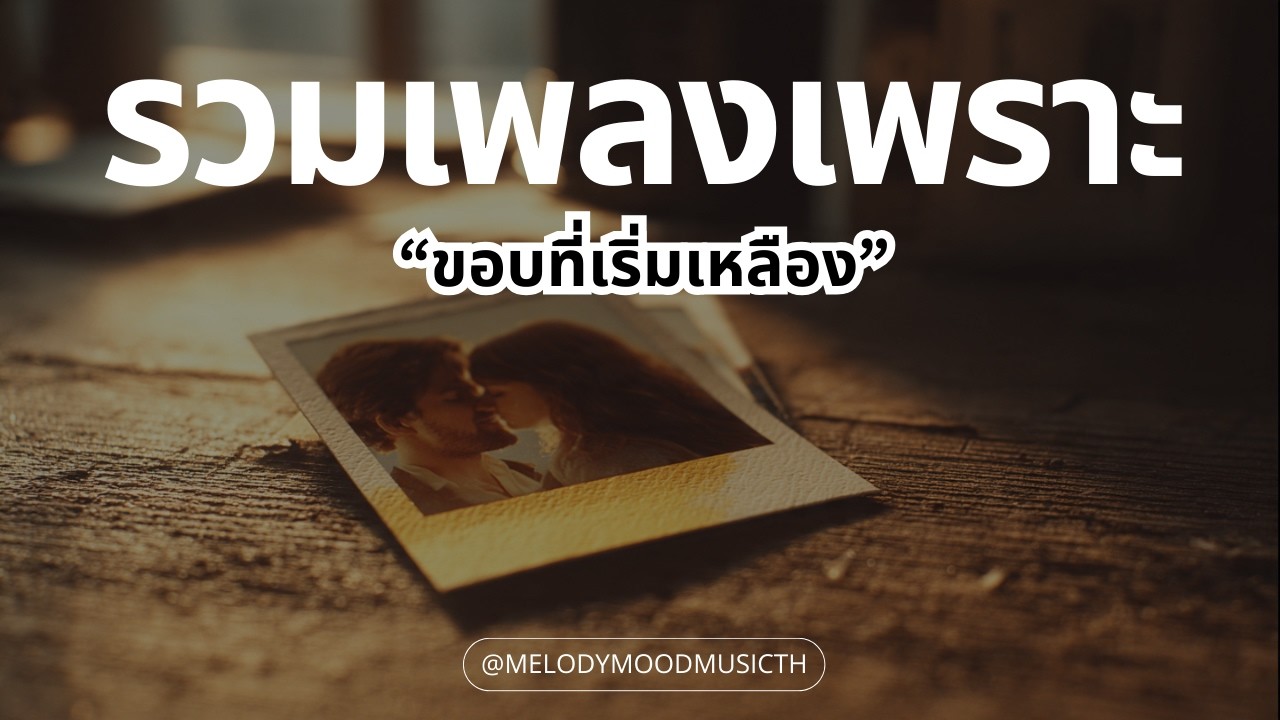 เพลงเพราะๆ ฟังสบายๆ 2026 | ขอบที่เริ่มเหลือง | Neo-Soul ไทย ละมุนใจ ฟีลแฟน Music Longplay