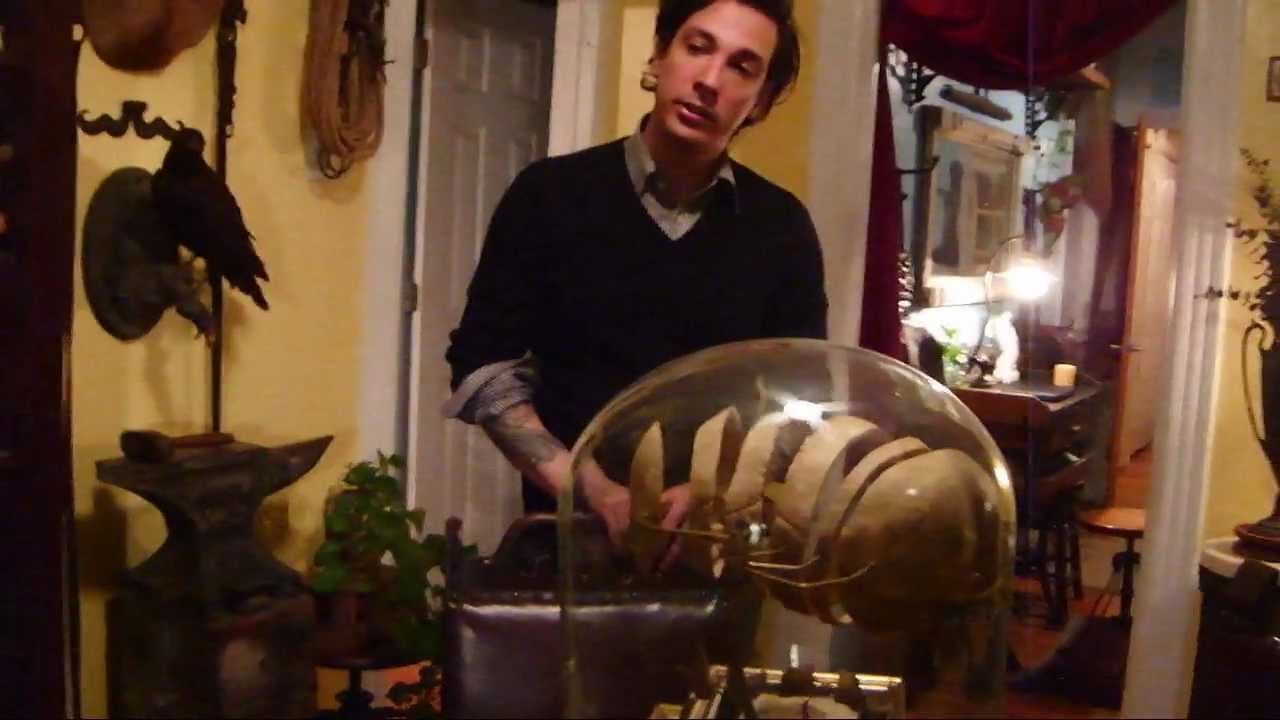 Private Oddities Collection Tour