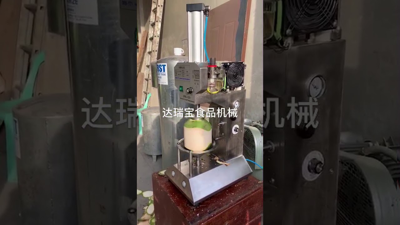 Automatic Coconut Peeling Machine