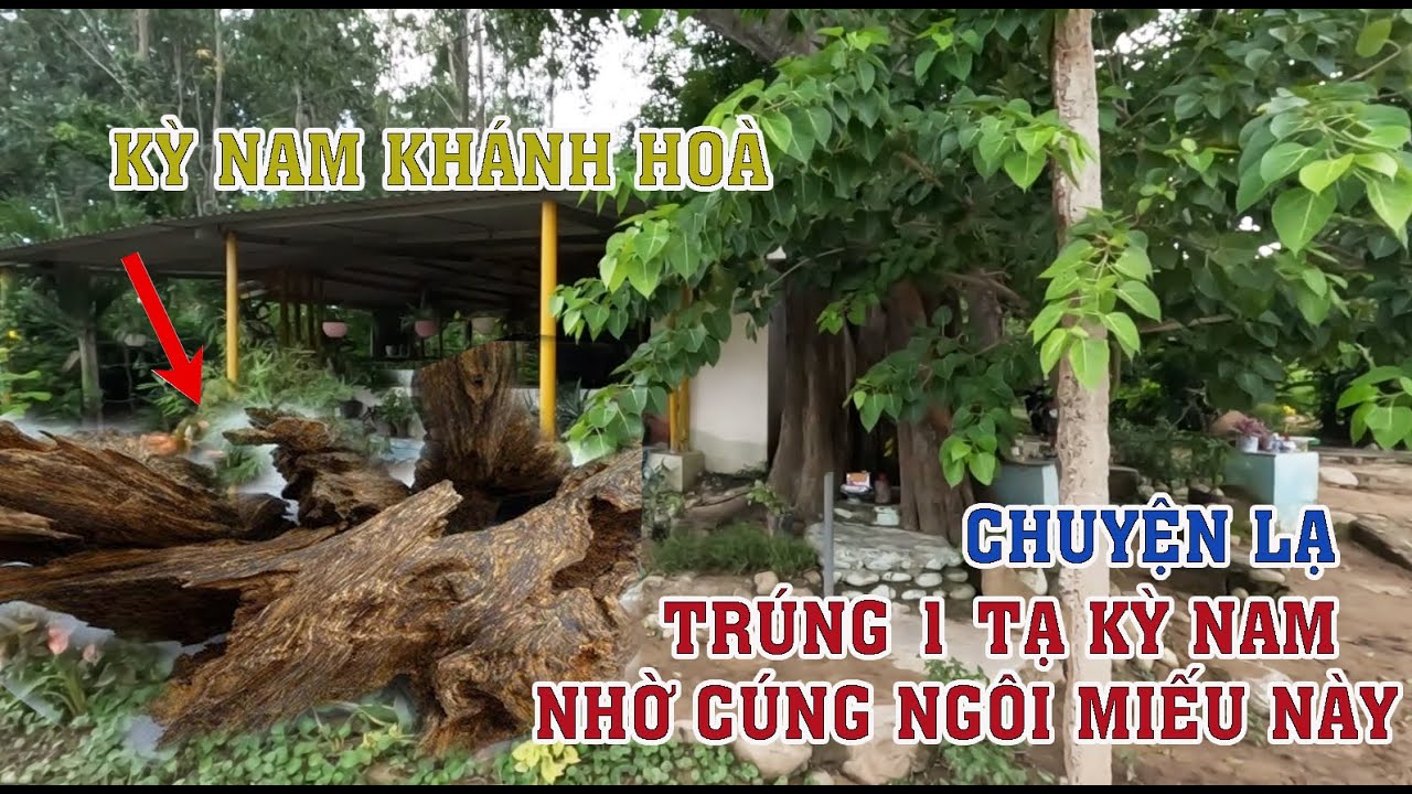 LY KỲ NGÔI MIẾU LINH THIÊNG CỦA DÂN ĐỊU TRẦM, ❌ TRÚNG MỘT TẠ KỲ NAM NHỜ CÚNG MIẾU TRƯỚC KHI VÀO RỪNG