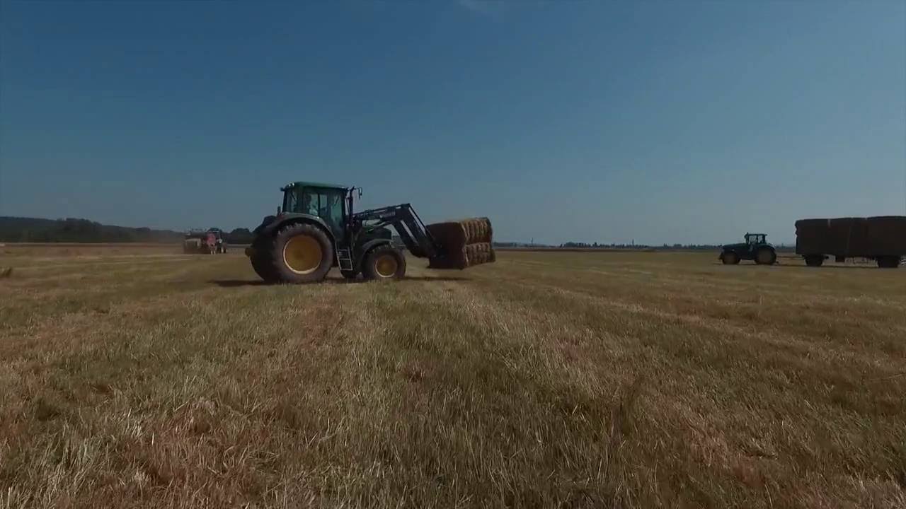 Farming in Austria Vlog_005