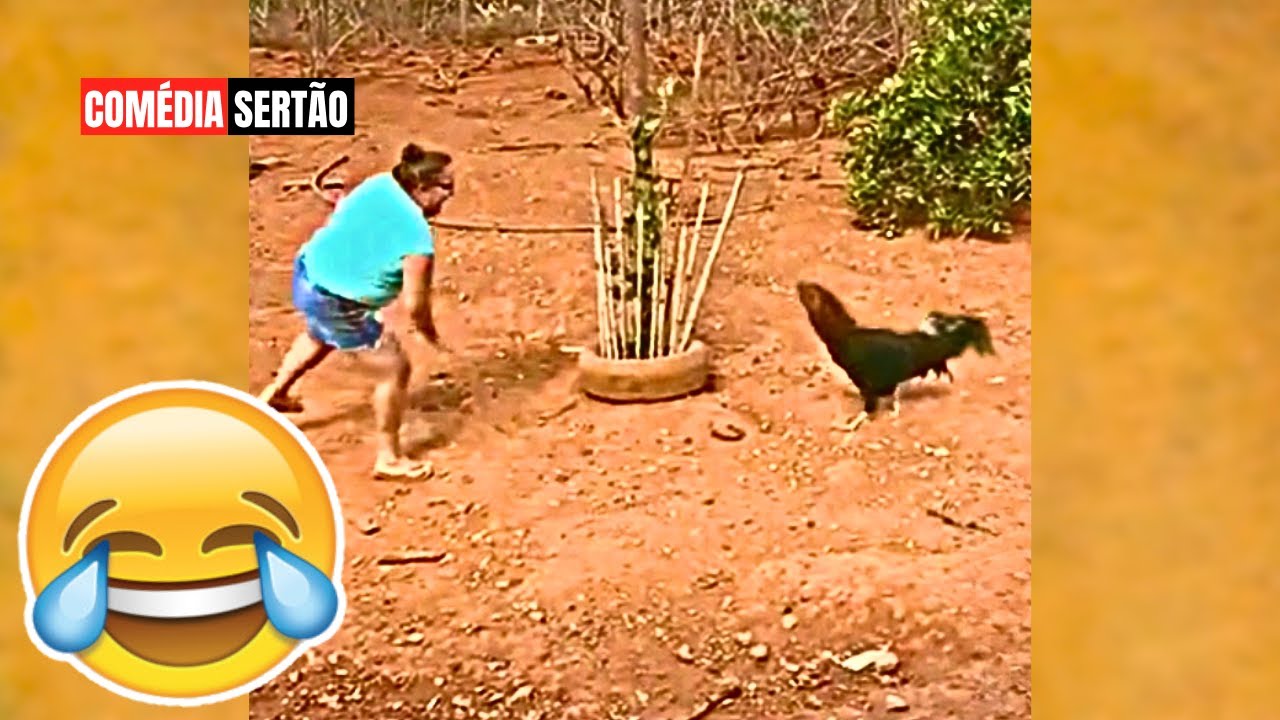 TENTE NÃO RIR: MEMES E VÍDEOS ENGRAÇADOS 2025 - #04