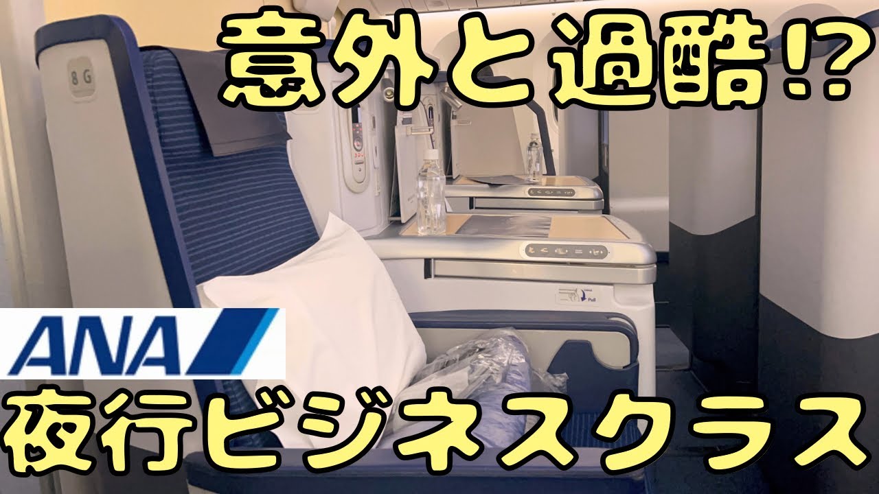 需要やば⁉︎ ANAのビジネスクラスでインド🇮🇳→東京🇯🇵へ‼︎