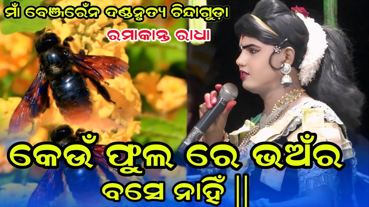 କେଉଁ ଫୁଲ ରେ ଭମର ବସେନାହି Maa benjaren danda nurty chindaguda Ramakant @RupeshMedia1 