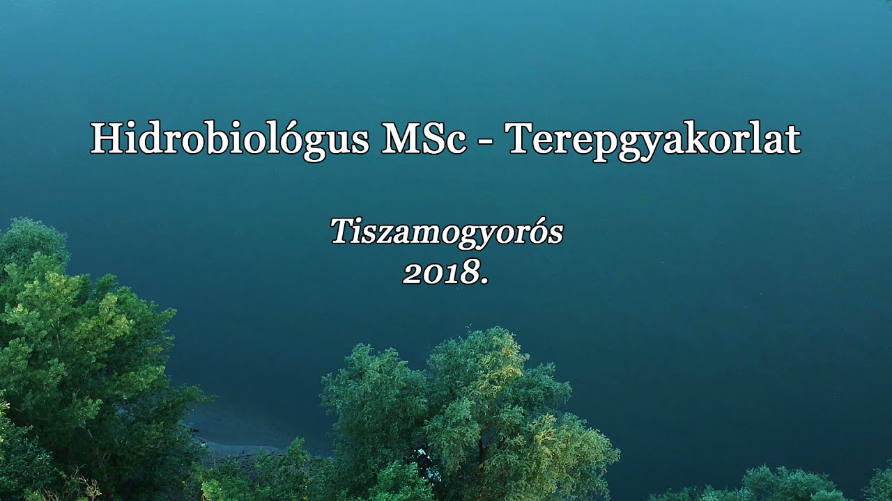 Hidrobiol&oacute;gus terepgyakorlat - Tiszamogyor&oacute;s (2018)