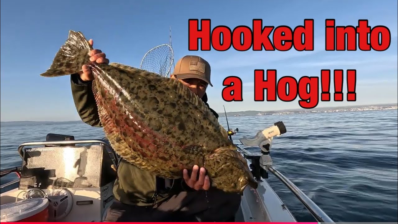 2025 San Francisco Bay Halibut Fishing/trolling - Took 4 days to land a keeper!