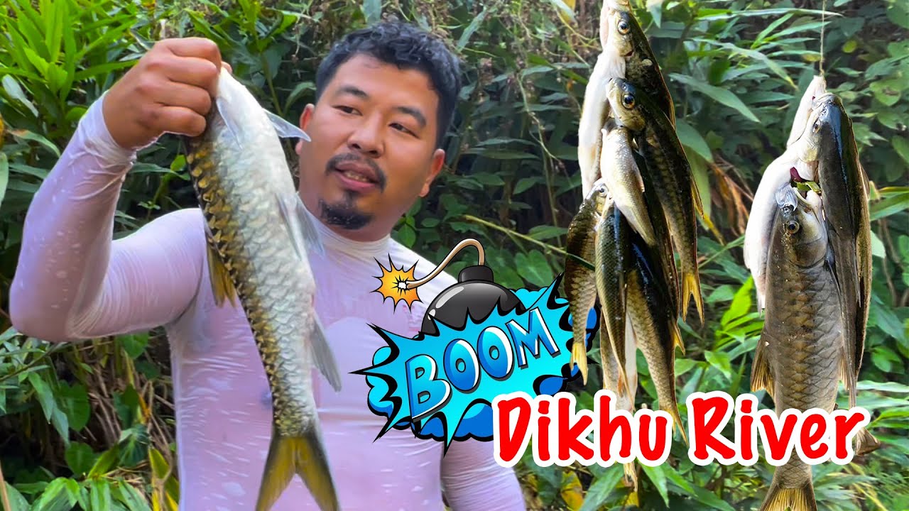 Fish Boom | Campsite | Dikhu River  @Bro_Ben