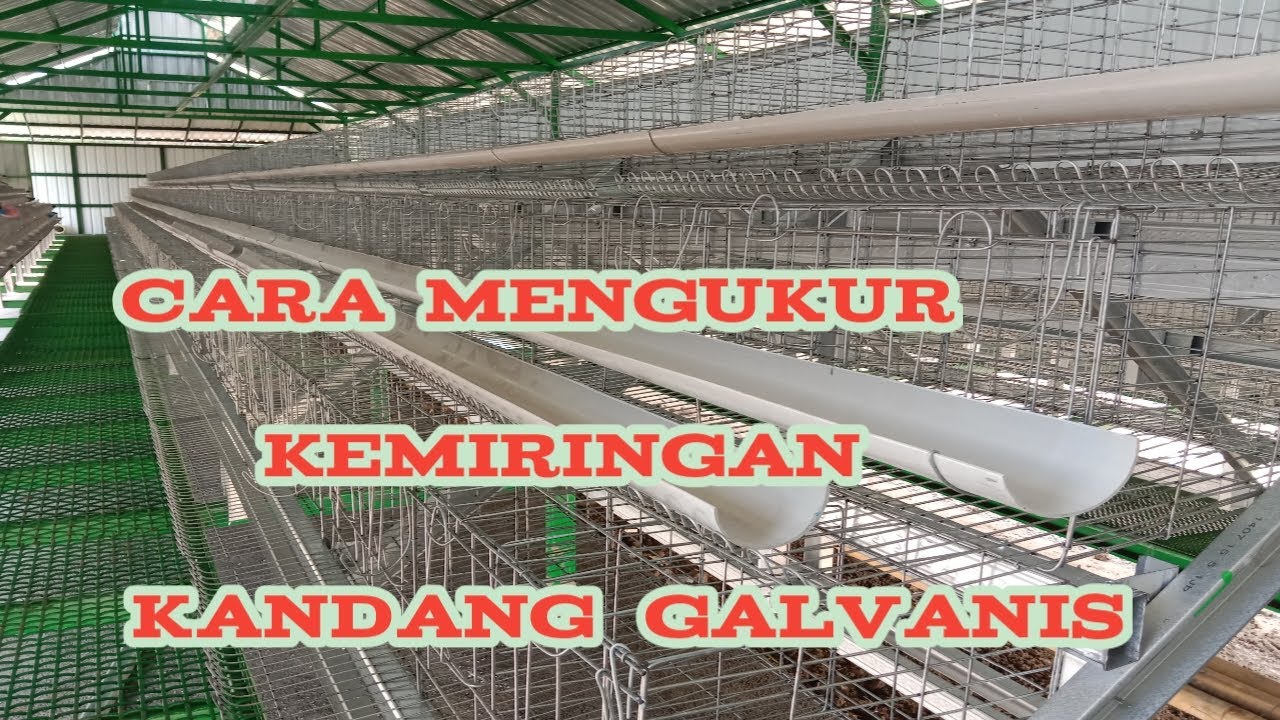 kandang batrai di lihat dari ukuran