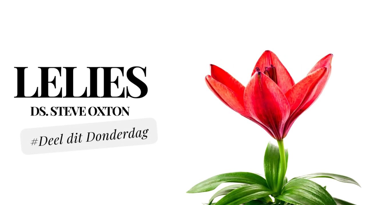 dK | Oordenking | Deel dit Donderdag | Lelies | Ds Steve Oxton