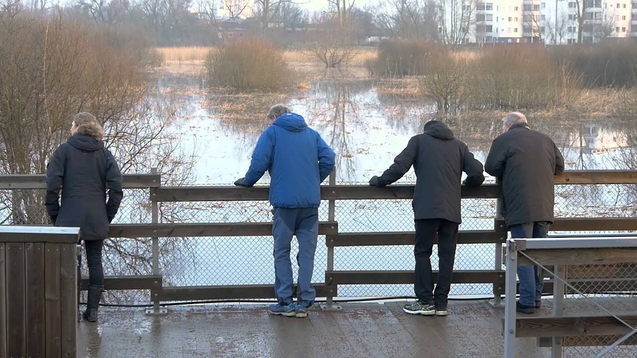Uttrar vid naturum Vattenriket