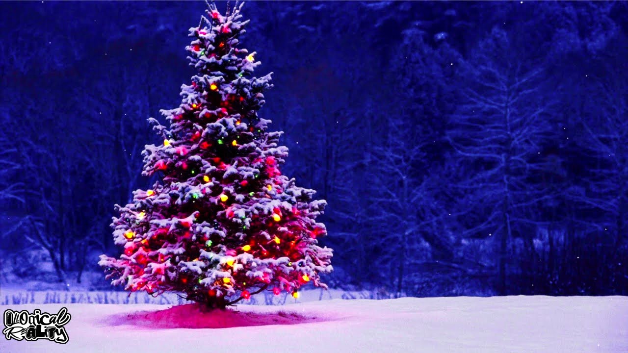 Cozy Christmas Music Mix | 1 Hour |