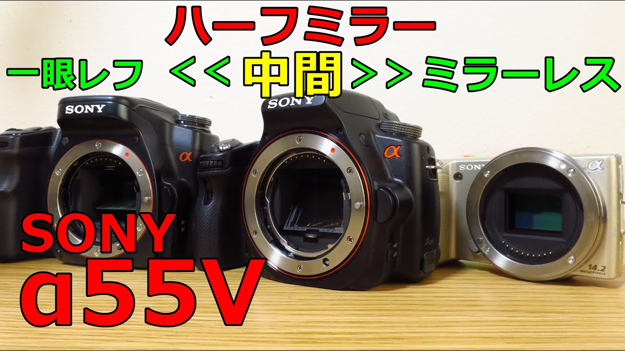【ジャンク一眼】5500円 SONY α55V ハーフミラーのアルファ 動作検証・作例 一眼レフでもない、ミラーレスでもない一眼カメラ SLT-A55V